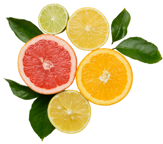 Citrus fruit slices with green leaves.